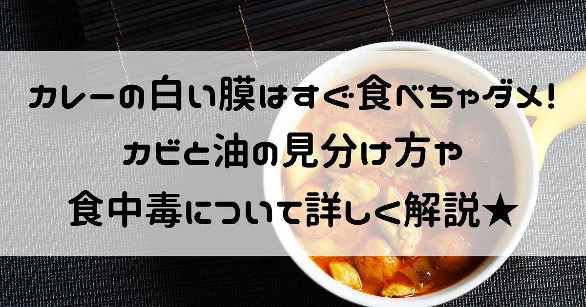 カレー 白い膜