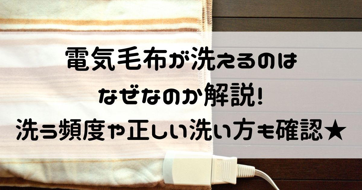 電気毛布 洗える なぜ